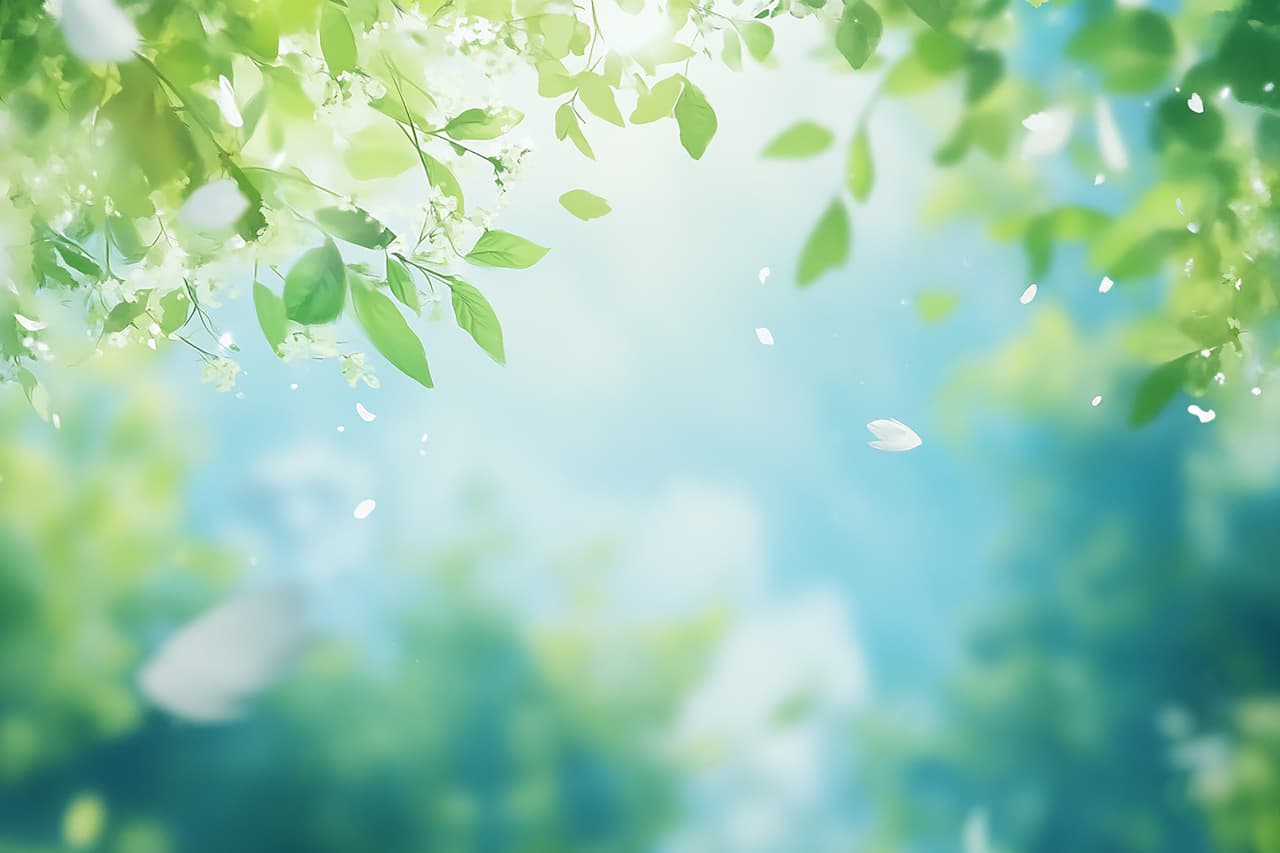 採用情報
